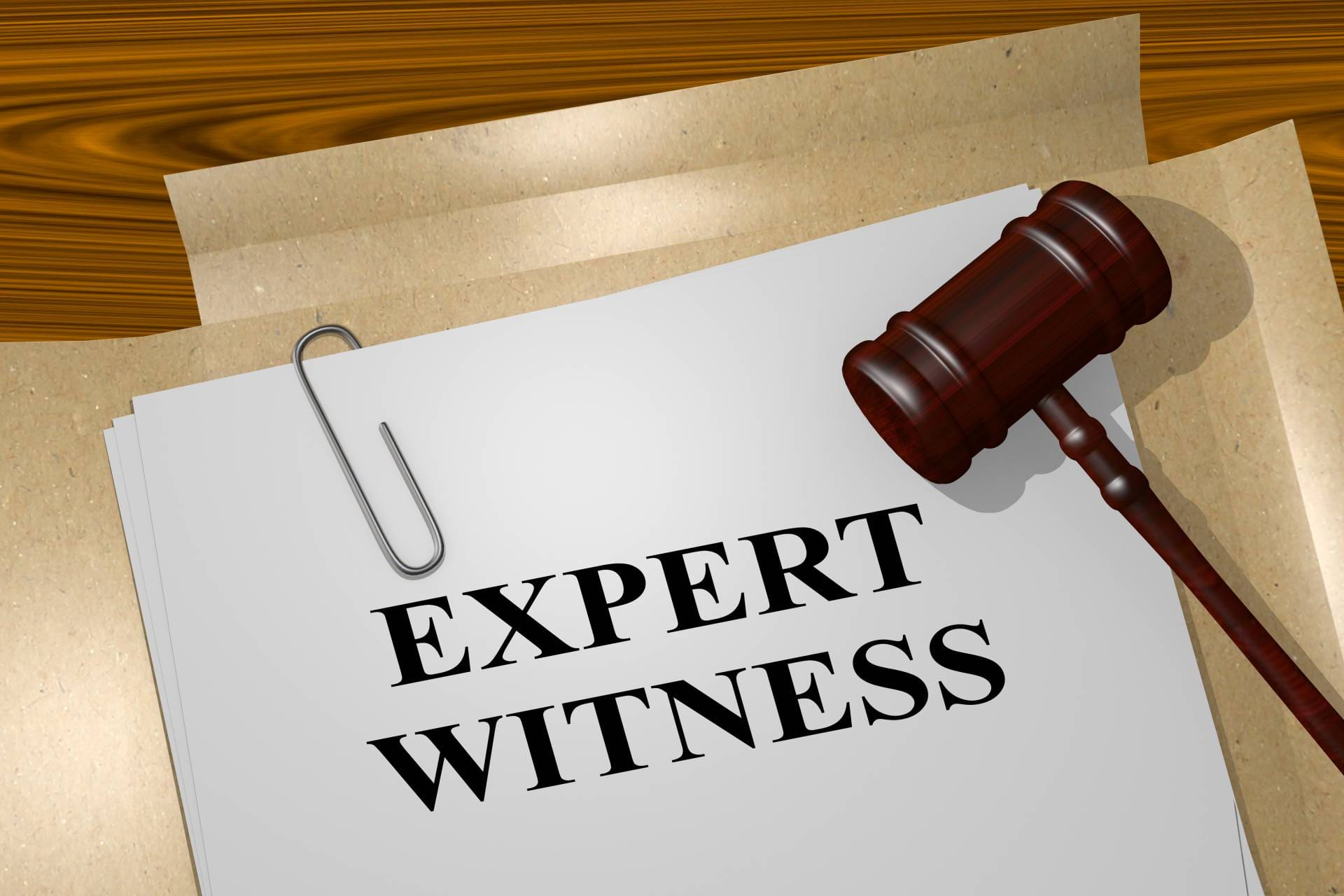 Document labeled expert witnesses.