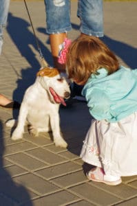 My dog bit the shop dog walker