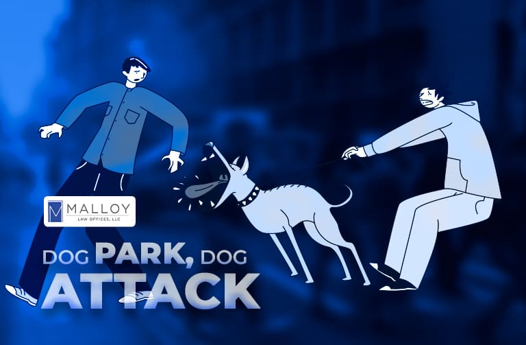 Dog Park Dog Attack