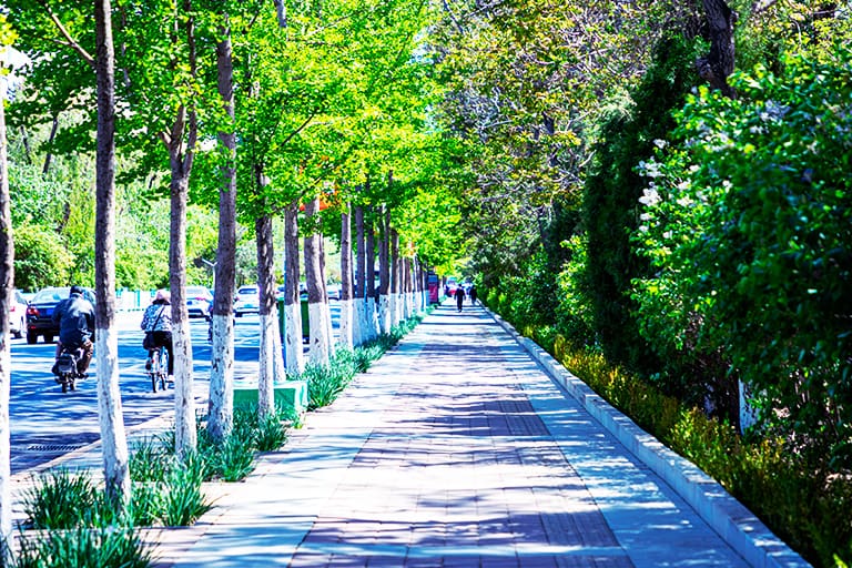 Pedestrian Safety Tips